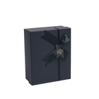 サテンリボン付きGoPlayerハードシェルケース