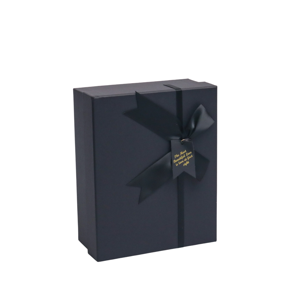 サテンリボン付きGoPlayerハードシェルケース