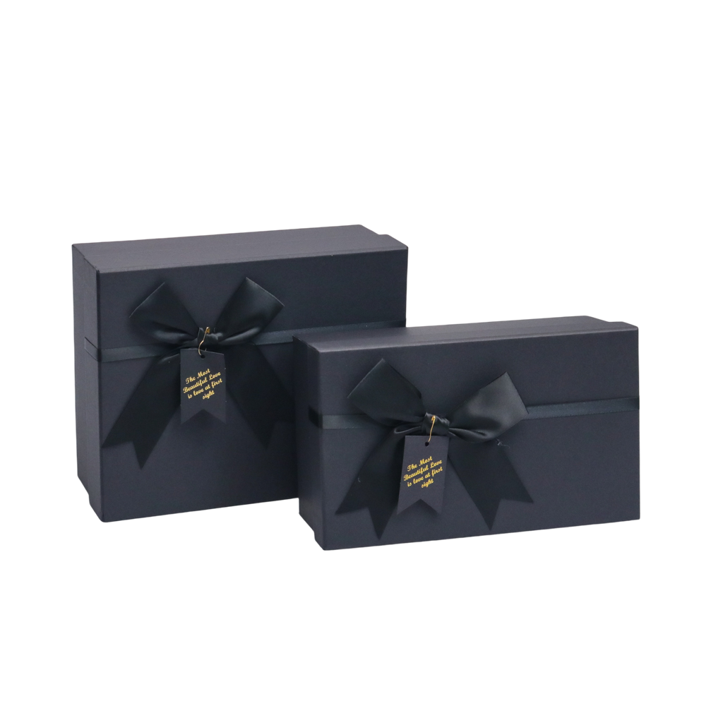 サテンリボン付きGoPlayerハードシェルケース