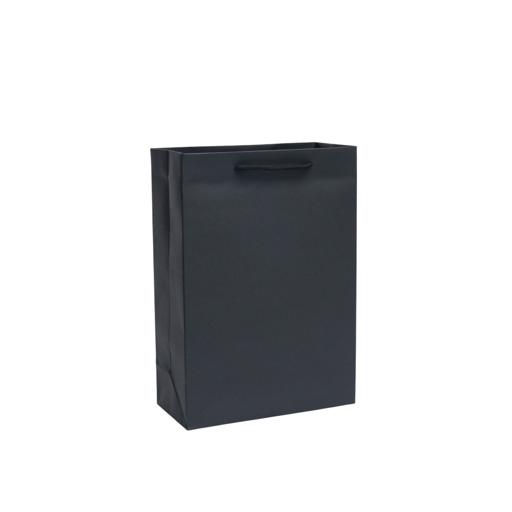 GoPlayer ペーパーギフトバッグ