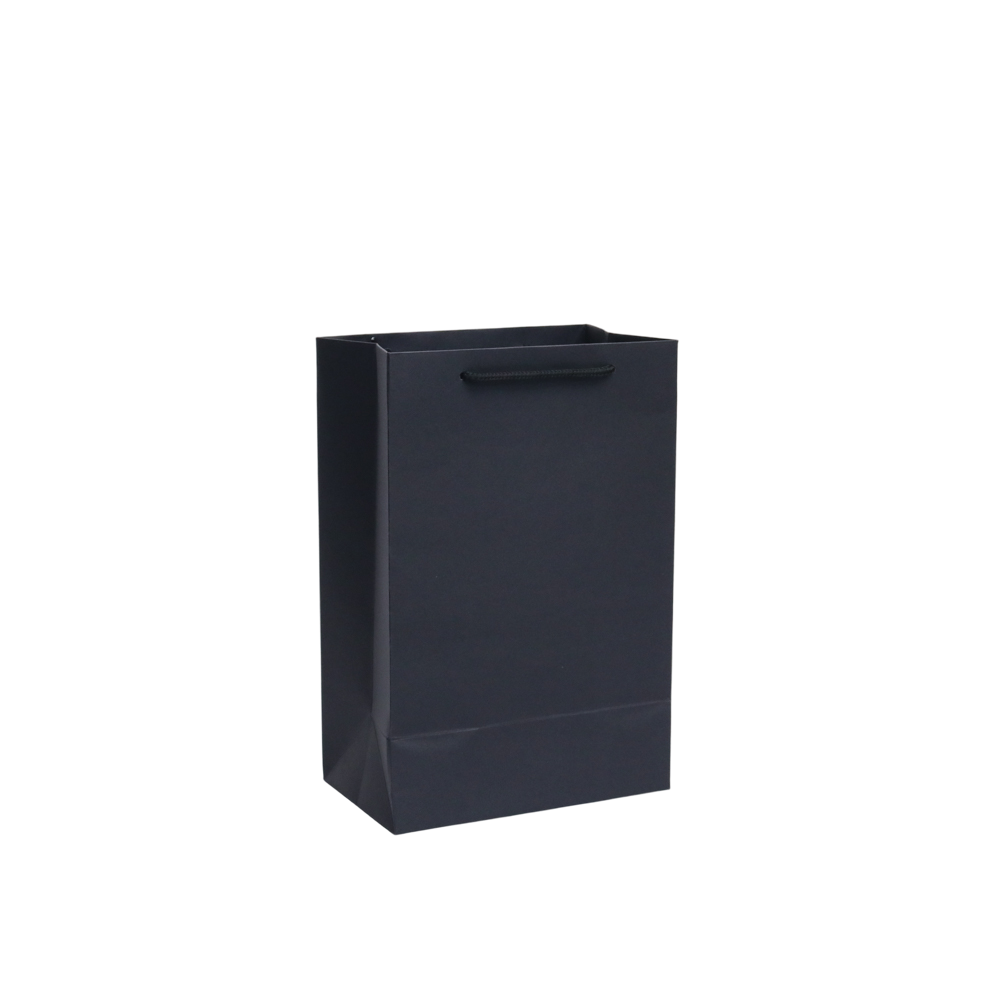 GoPlayer ペーパーギフトバッグ