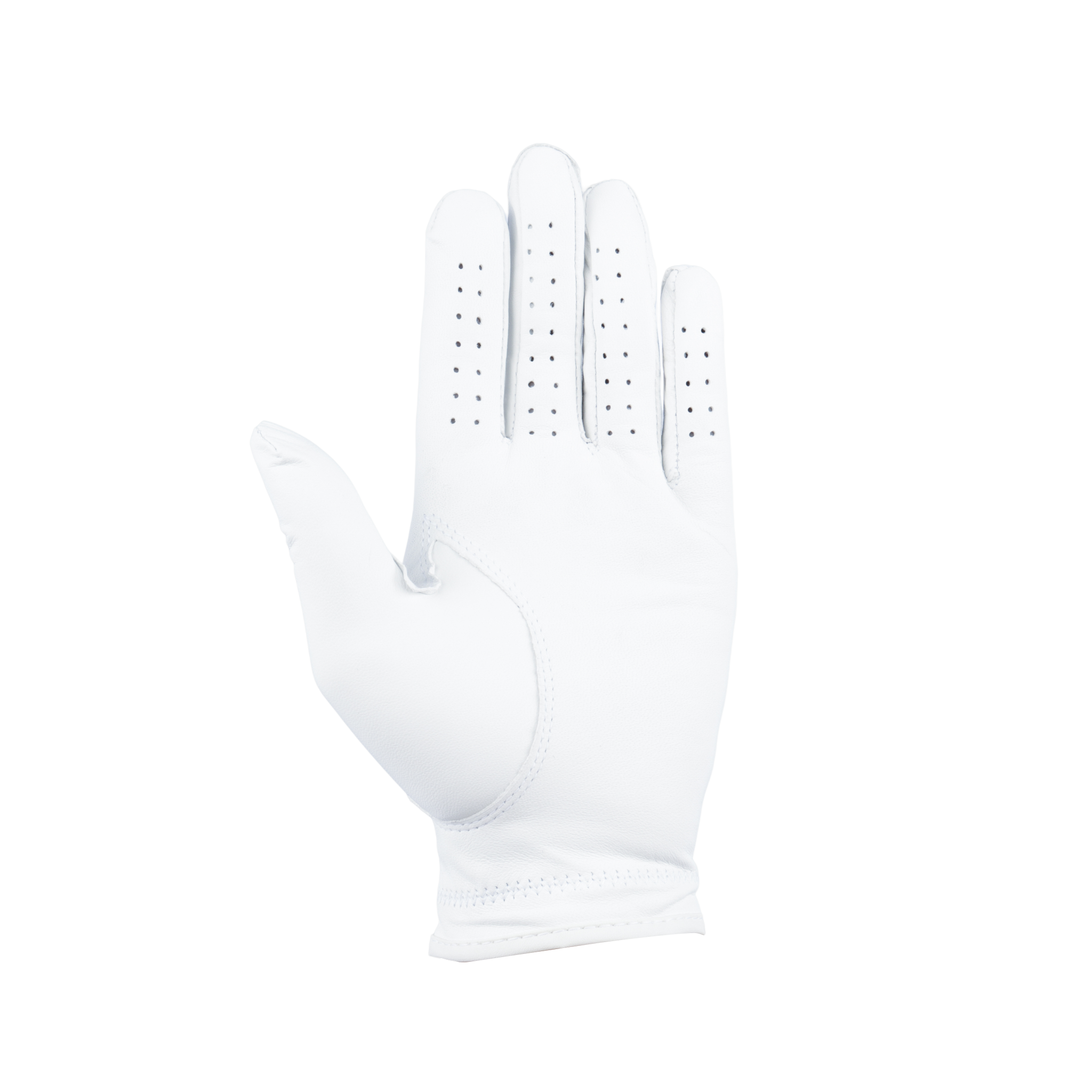 GoPlayer Supreme ラムスキン グローブ