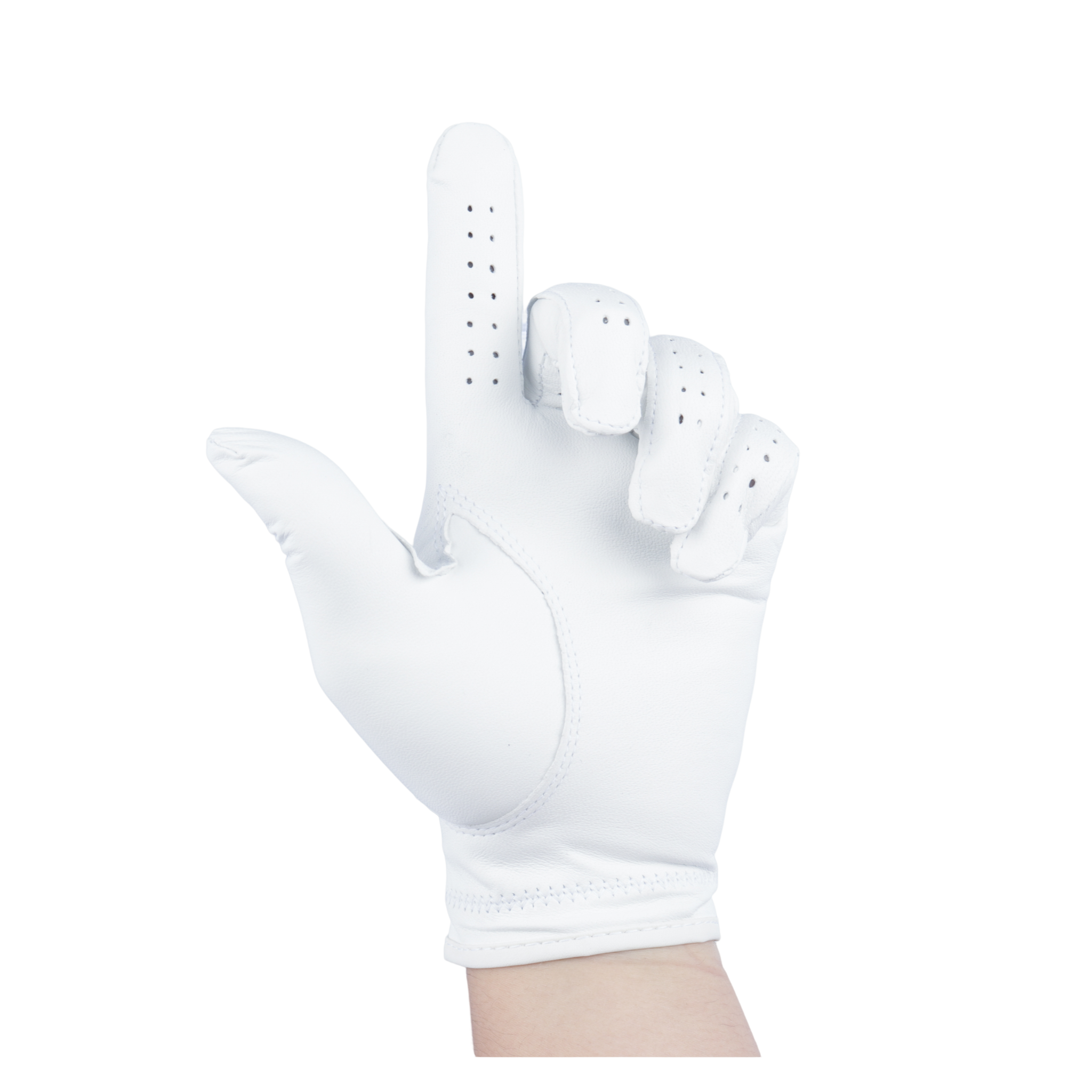 GoPlayer Supreme ラムスキン グローブ